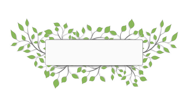 Frame on a background of tree branches with green leaves on a white background