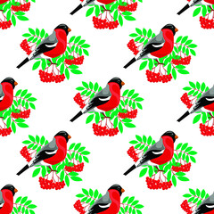 Seamless pattern, bullfinch bird and rowan berries, on a white background, vector illustration