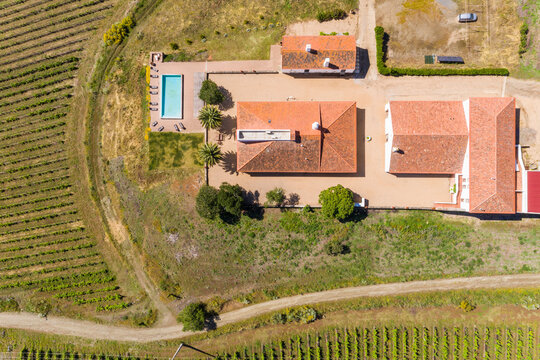 Aerial view of Vineyard estate, Portugal.