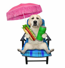 A dog is sitting on a beach chair and drinking beer with a hot dog under a pink  umbrella.  White background. Isolated.