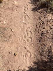 Hoof Prints In The Sand (Horse Shoe Tracks)