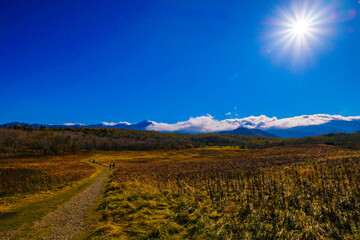 日本一早い紅葉風景―美瑛岳付近の大平原