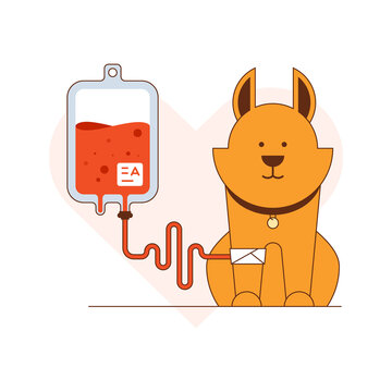 Blood donation for dogs vector illustration