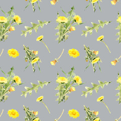 Watercolor floral seamless pattern of yellow dandelion flowers