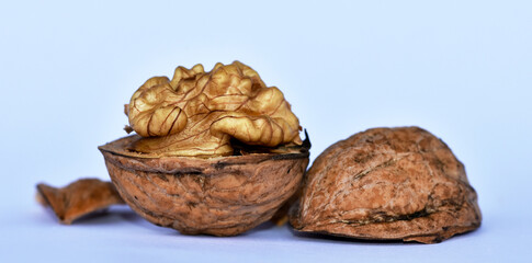 Walnuss, Juglans regia, walnut