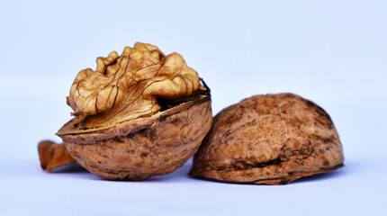 Walnuss, Juglans regia, walnut