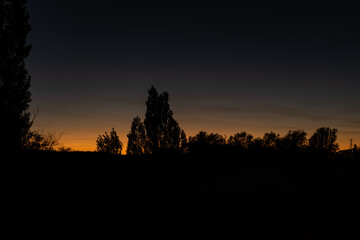 Fototapeta na wymiar silhouette of trees at sunset