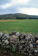 Causse Mejan, Parc naturel régional des Grands Causses, 12, Aveyron