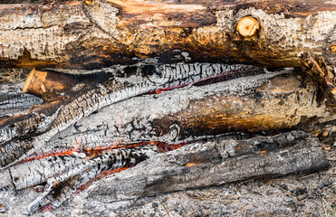Logs in a blazing fire