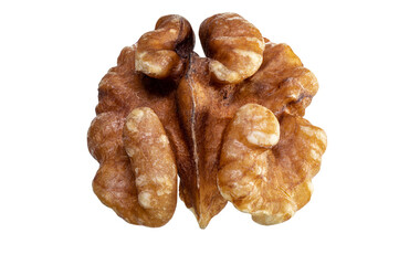 One Walnut isolated closeup without shell as package design element collection on white background. Nut macro. Walnut kernel. Full depth of field.