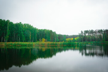 Landscape of a beautiful lake at the edge of the forest	
