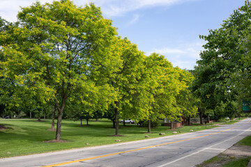 Obraz premium City Park at sunset