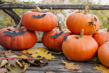 Happy Halloween, Thanksgiving. Pumpkin fruit with maple leaves on a wooden table, collecting the autumn harvest. Concept of tradition.