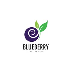 Obraz premium Blueberry logo vector template