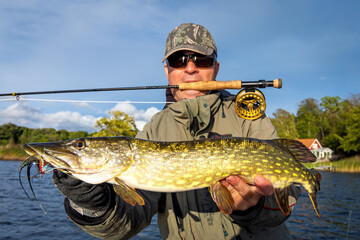 Autumn fly fishing trophy - pike