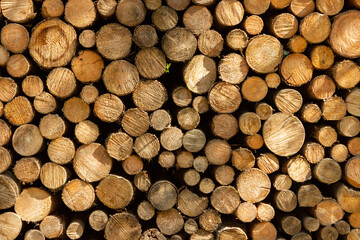 Fototapeta premium Stacked wooden logs background texture wallpaper with beautiful light effects