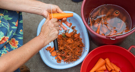 Woman cleening carrots - freshly harvested carrots ebfore cooking