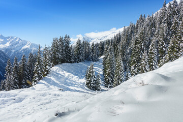 Winterlandschaft in Tirol