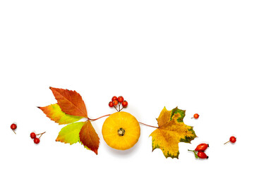 Autumn decor. Natural food, harvest with orange pumpkin, fall dried leaves, rowan berries isolated...