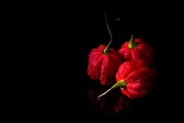 Extremely hot Carolina Reaper chile peppers on black background. Dark food photography style.