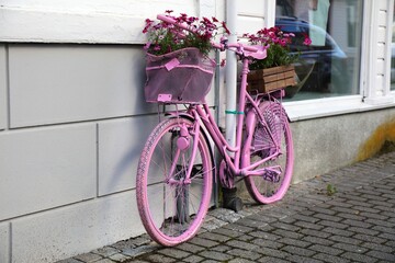 Fototapeta na wymiar Bicycle flower stand