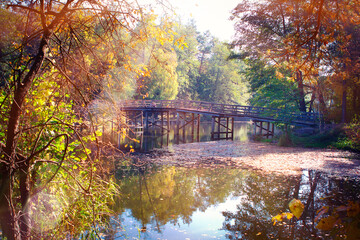 Autumn landscape at the park