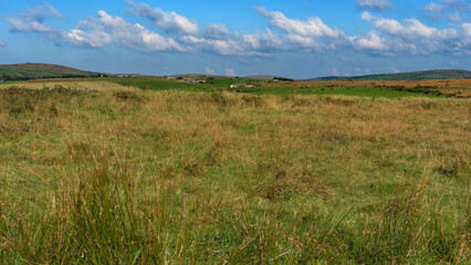 On the top of the moor, sunny autumn morning