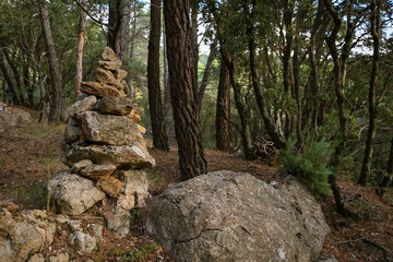 Fototapeta na wymiar Stone mark in the forest