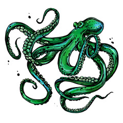 Green Octopus with tentacles. Colorful watercolor illustration isolated on white background.