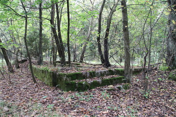 Nazi bunkers on the training ground, Sowie g&oacute;ry Poland