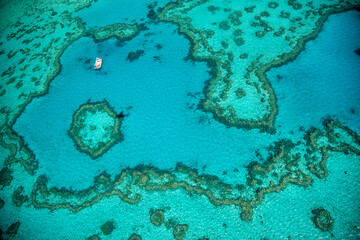 Aerial view of the amazing Queensland Coral Reef from the airplane. Coral patterns overhead view