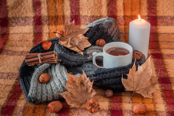 old checkered blanket with orange red and brown patterns. dry leaves and fruits. autumn background....