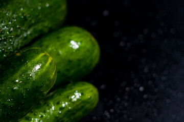 Cucumbers are located on the left side of the screen. The right one is free. Copy space