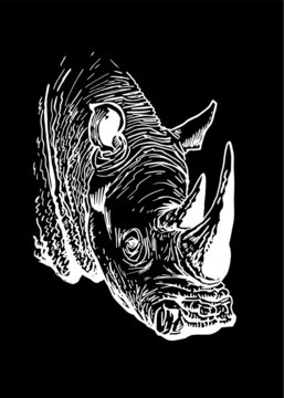 Vector rhinoceros isolated on black background , graphical illustration