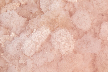 Fototapeta na wymiar Pink salt flakes close-up top view under pink water surface. Healthy spa resort on Syvash or Sivash, the Putrid Sea or Rotten Sea, Ukraine