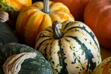 Close up of several gourds