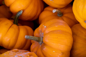 Assortment of colorful gourds in a bin at a farmer's market