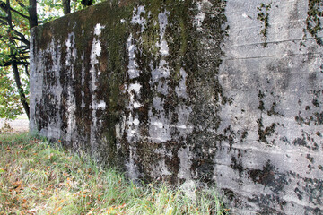 Fototapeta na wymiar Nazi bunkers on the training ground, Sowie góry Poland