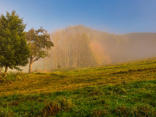 Herbstlich Morgennebel in der Steiermark