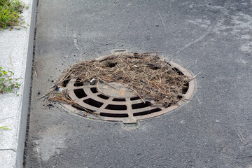 Dry grass and debris on the manhole cover. Clogged urban drainage system