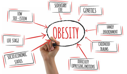 Diagram of causes of obesity on white background.