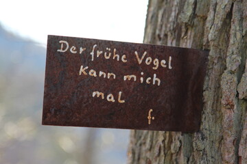 Der fr&uuml;he Vogel