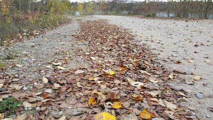 autumn