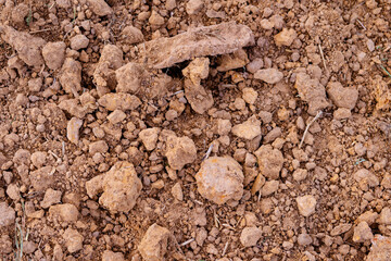 Tropical laterite soil background.