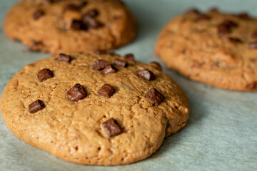 Homemade cookies on cooling tray. Cookies with chocolate on dark wooden background. Homemade Chocolate chip cookies.