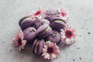 Macaroons. Delicious french desserts. Macaroons with flowers. Purple macaroons on the table