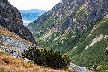 Autumn scene, High Tatras mountains, Slovakia