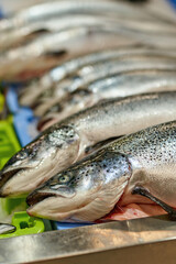 Close up of fresh salmon at a fish store, fresh fish in a supermarket.