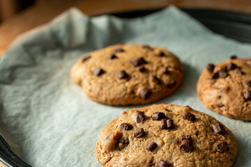 Homemade cookies on cooling tray. Cookies with chocolate on dark wooden background. Homemade Chocolate chip cookies.