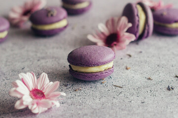 Macaroons. Delicious french desserts. Macaroons with flowers. Purple macaroons on the table